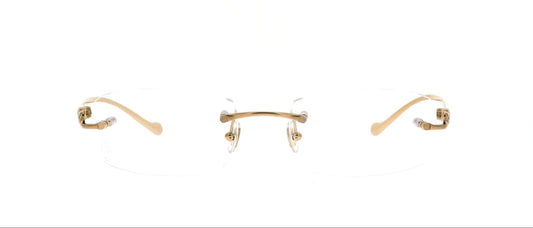 Lunette Cartier CT0061O 002