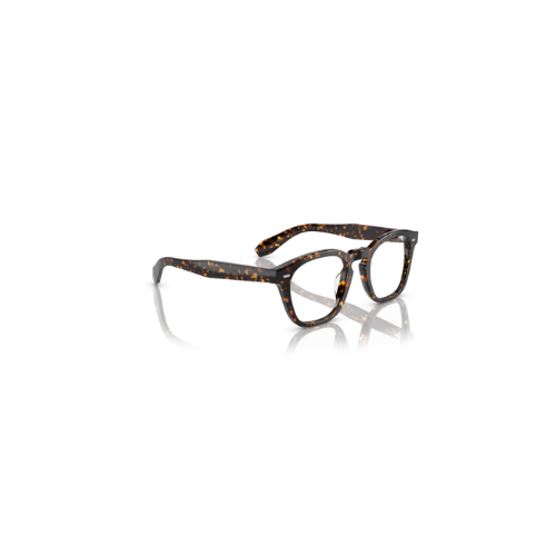 Lunette Oliver Peoples 0OV5527U 1741 écaillée