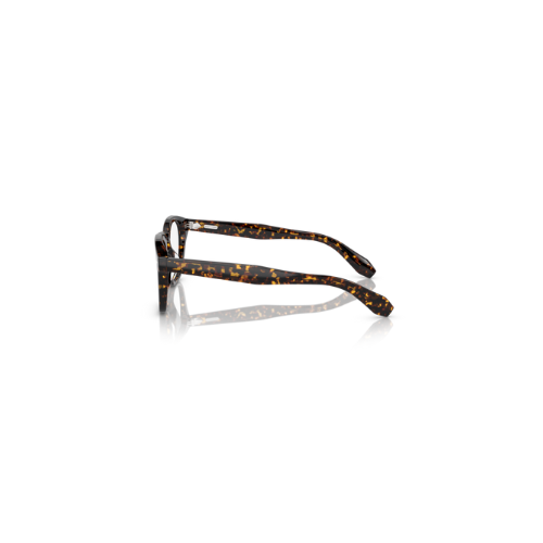 Lunette Oliver Peoples 0OV5528U 1741 écaillée