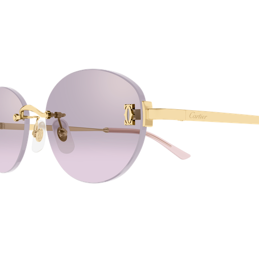 Lunettes de soleil Cartier Core Range CT0642SA 003 54-18