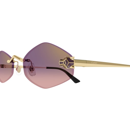 Lunettes de soleil CT0433S-004