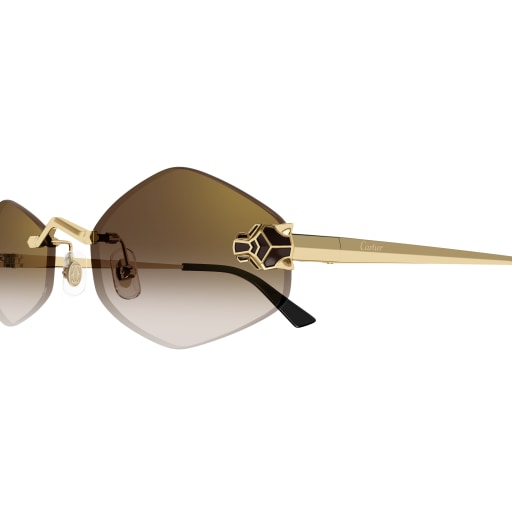 Lunettes Cartier CT0433S-002