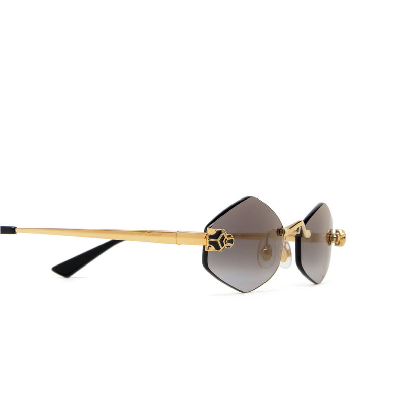 Cartier panthère CT0433S