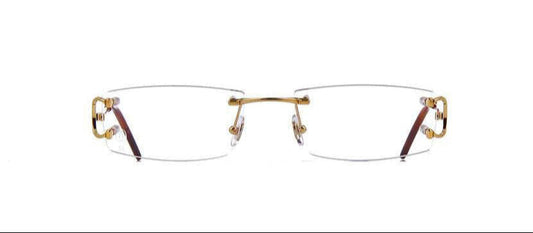 Lunette CARTIER Piccadilly  CT0092O
