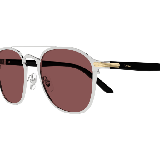 Lunettes de soleil CT0012S-007