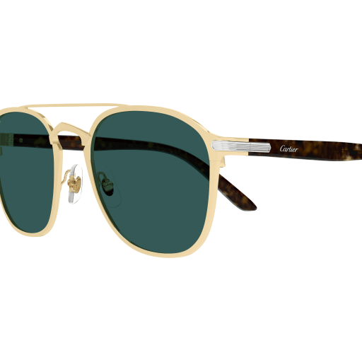 Lunettes de soleil CT0012S-006