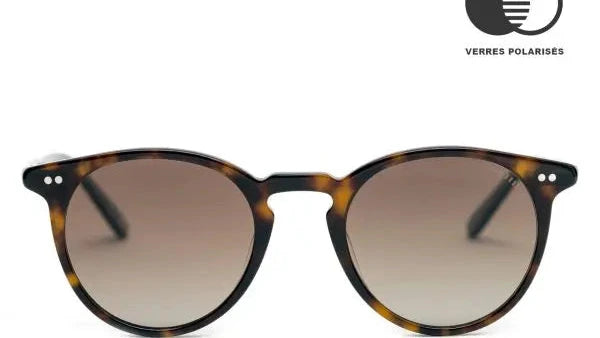 Lunette de soleil Andy Brook Smith polarisé c47f-P