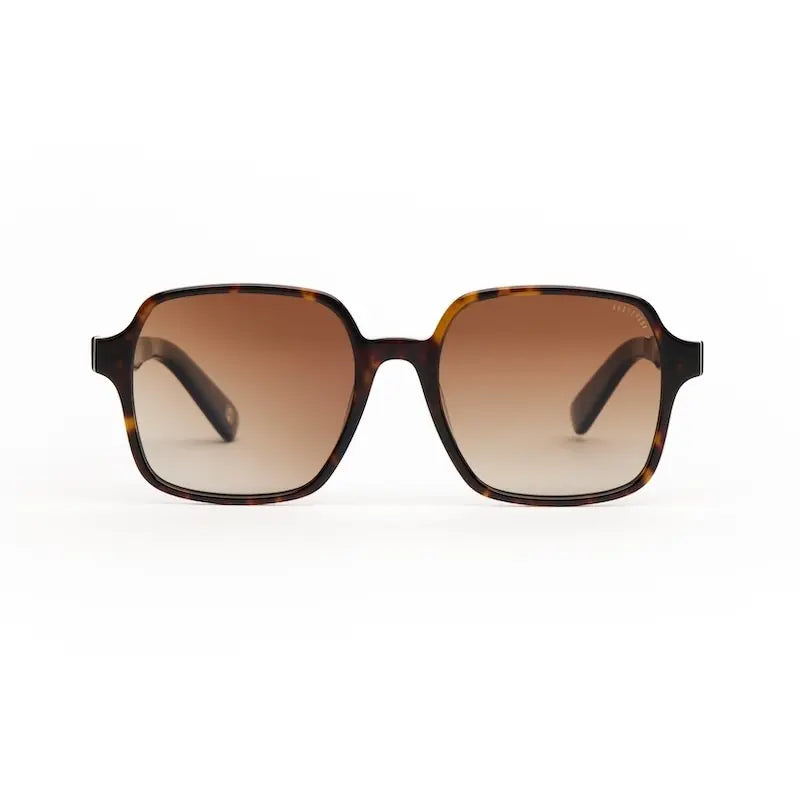 Lunettes de soleil ANDY BROOK Tali Polarisé C47F-P