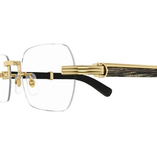 Lunette CARTIER CT0377O 001