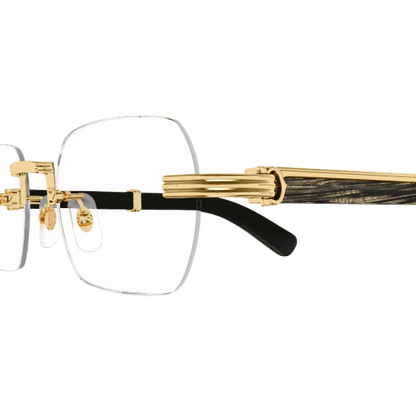 Lunette CARTIER CT0377O 001