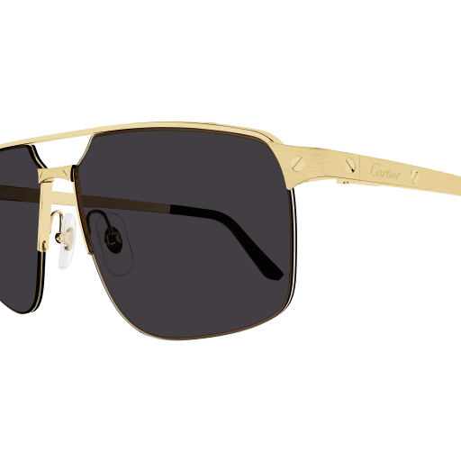 Lunettes de soleil Cartier Core Range CT0385S 001 60-15