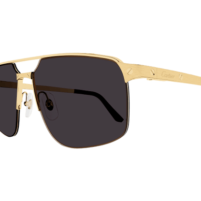 Lunettes de soleil Cartier Core Range CT0385S 001 60-15