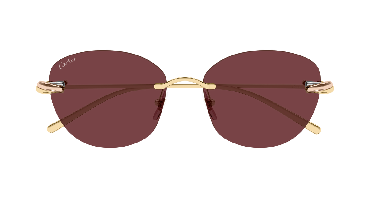 Lunettes de soleil Cartier Exception CT0685S 004 57-17 vue 2