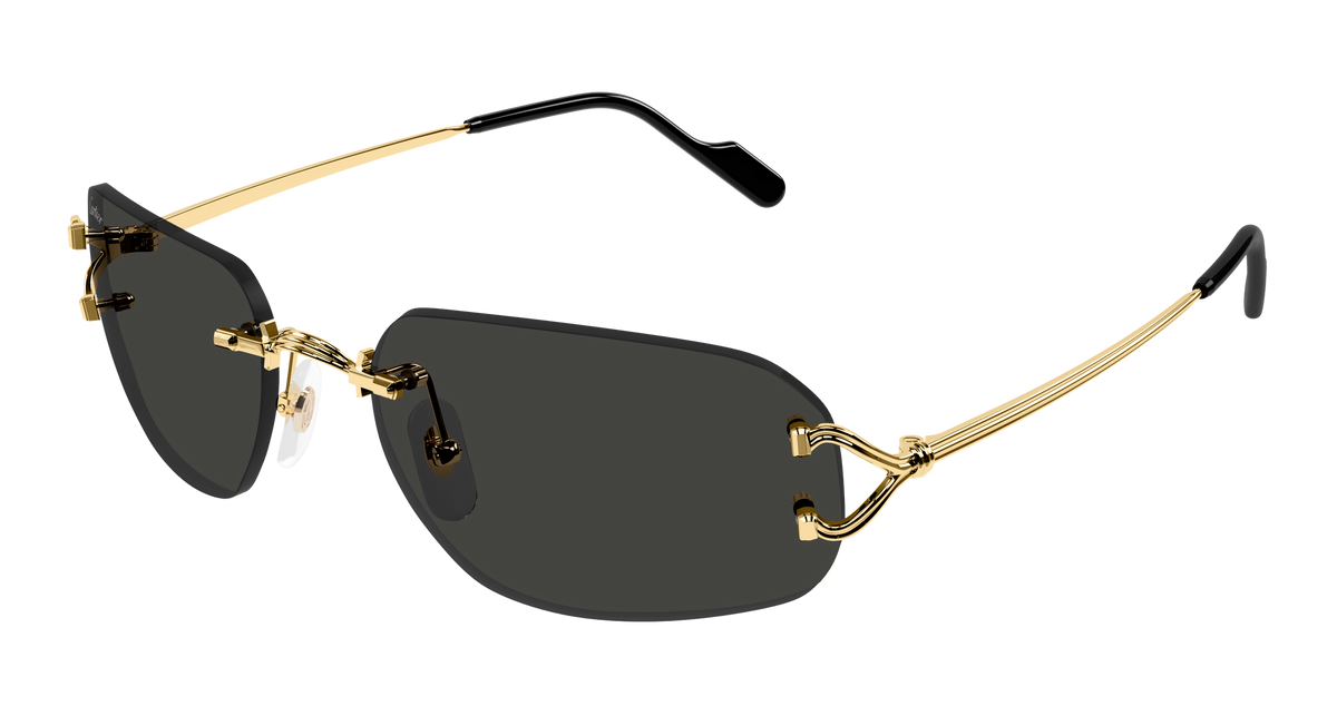 Lunettes de soleil Cartier Core Range CT0663S 001 58-17