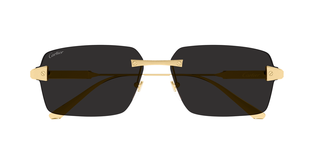 Lunettes de soleil Cartier Exception CT0652S 001 63-15 vue 2