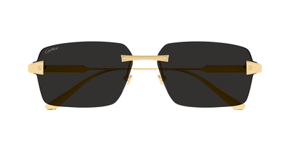 Lunettes de soleil Cartier Exception CT0652S 001 63-15 vue 2