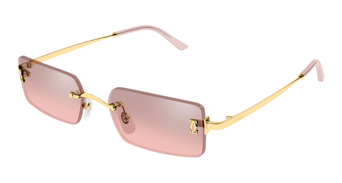 Lunettes de soleil Cartier Core Range CT0672S 004 54-18