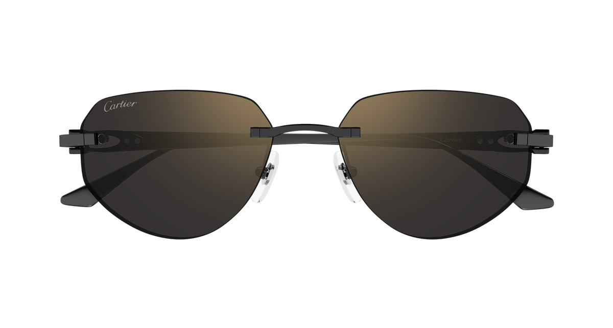 Lunettes de soleil Cartier Exception CT0661S 001 54-17 vue 2