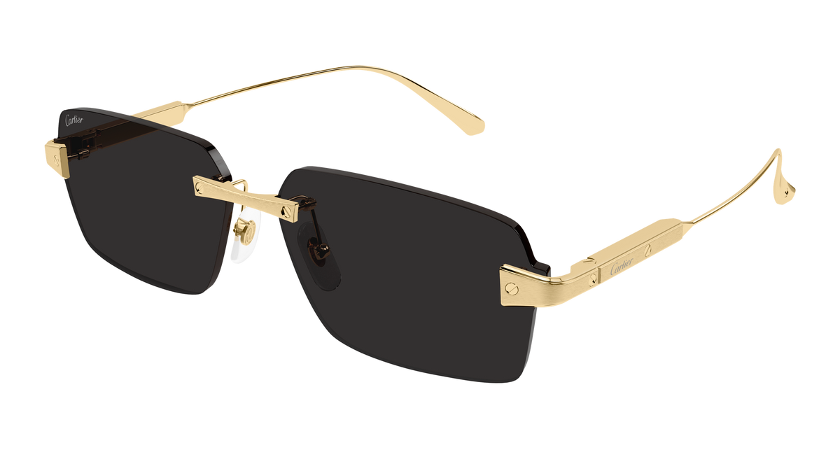 Lunettes de soleil Cartier Exception CT0652S 001 63-15