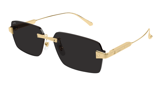 Lunettes de soleil Cartier Exception CT0652S 001 63-15
