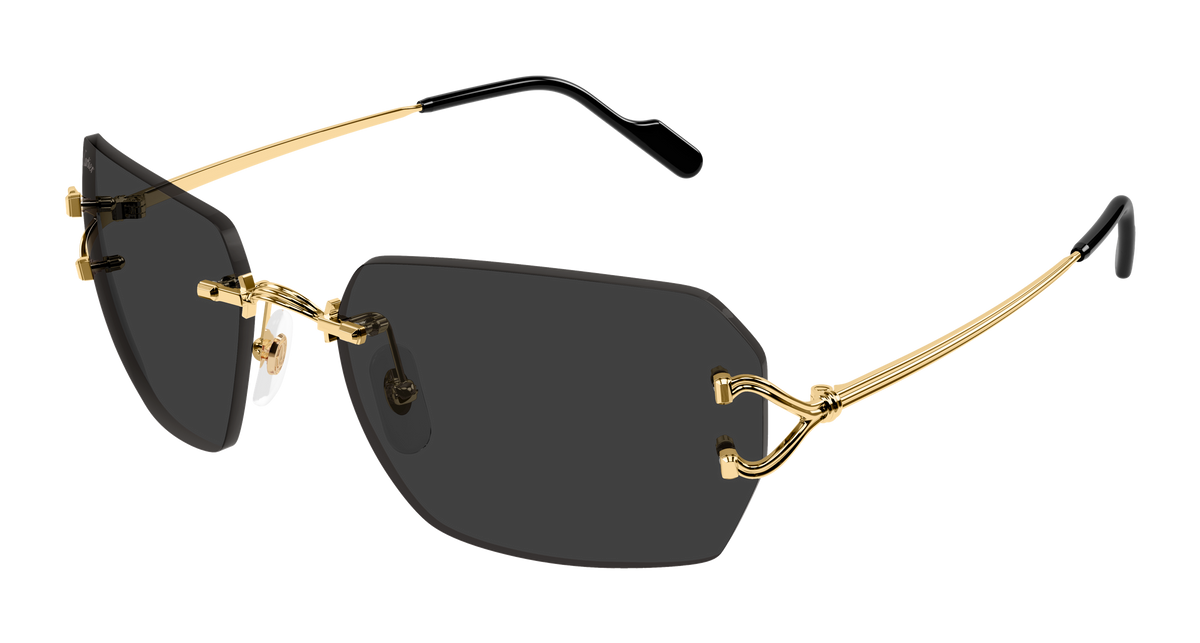 Lunettes de soleil Cartier Core Range CT0664S 001 59-17