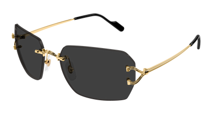 Lunettes de soleil Cartier Core Range CT0664S 001 59-17