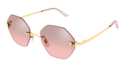 Lunettes de soleil Cartier Core Range CT0671S 004 54-20