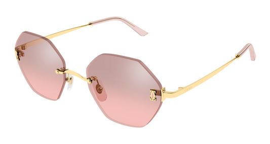 Lunettes de soleil Cartier Core Range CT0671S 004 54-20
