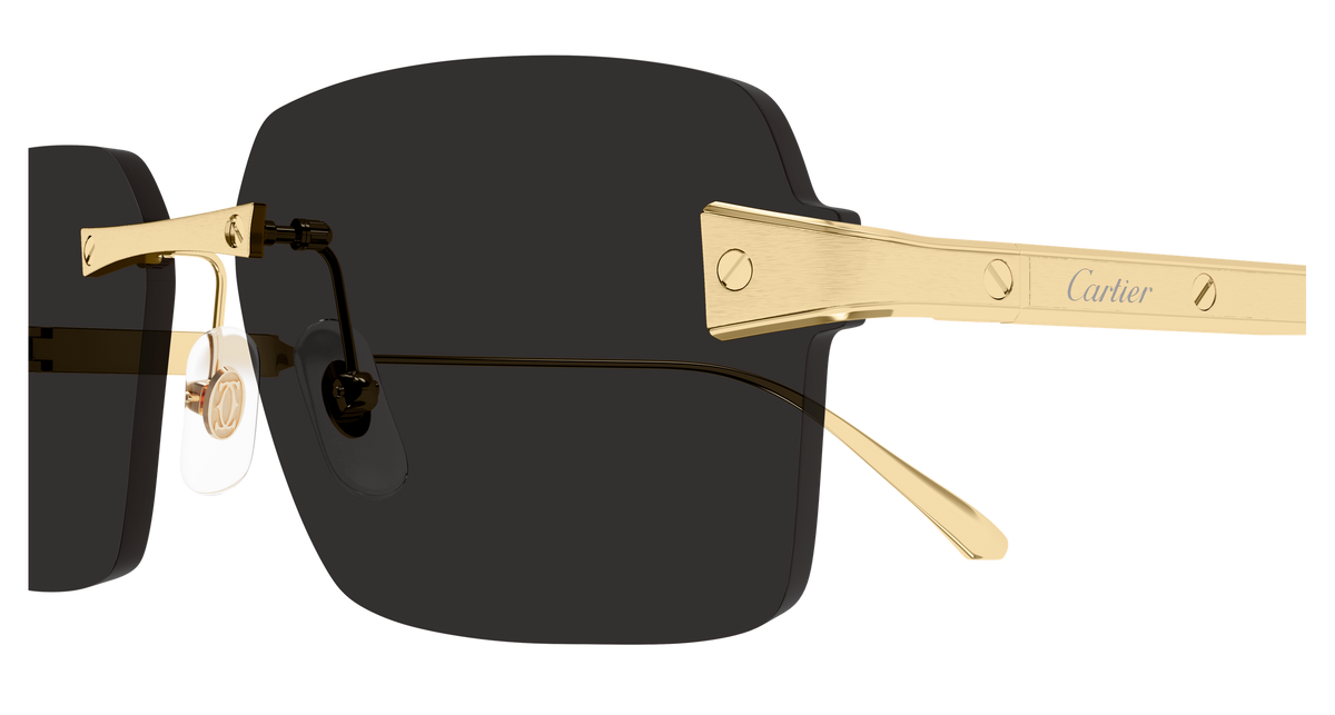Lunettes de soleil Cartier Exception CT0652S 001 63-15 vue 3