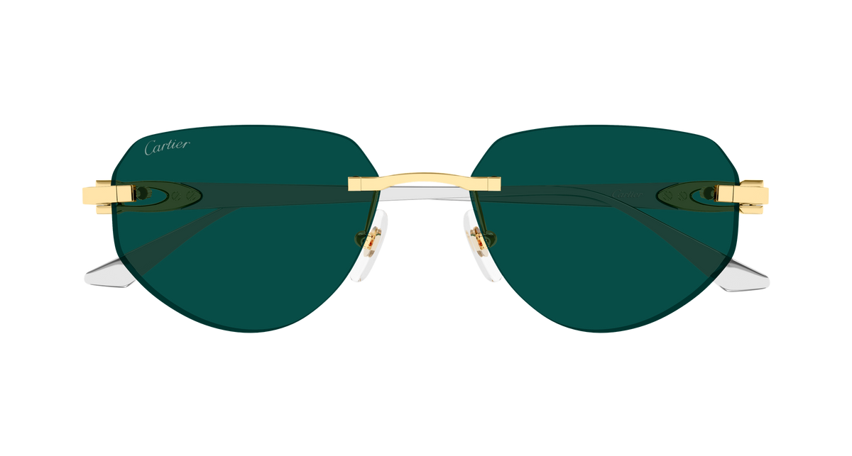Lunettes de soleil Cartier Exception CT0661S 002 54-17 vue 2