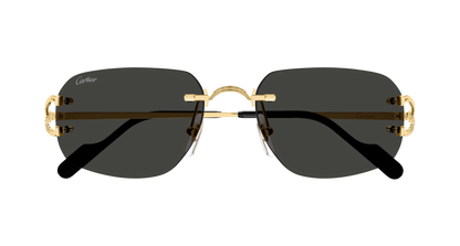 Lunettes de soleil Cartier Core Range CT0663S 001 58-17 vue 2