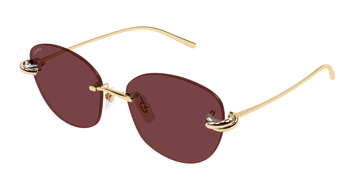Lunettes de soleil Cartier Exception CT0685S 004 57-17