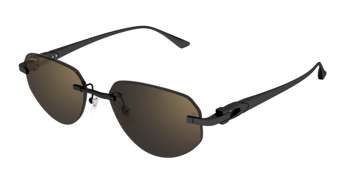 Lunettes de soleil Cartier Exception CT0661S 001 54-17
