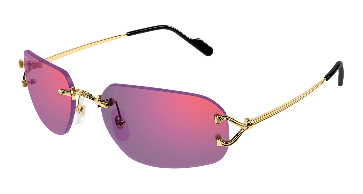 Lunettes de soleil Cartier Core Range CT0663S 003 58-17