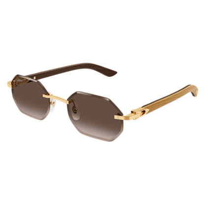 Lunettes de soleil Cartier CT0439S-006