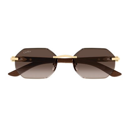 Lunettes de soleil Cartier CT0439S-006