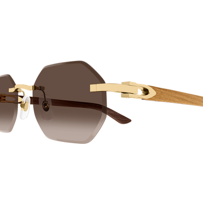 Lunettes de soleil Cartier CT0439S-006