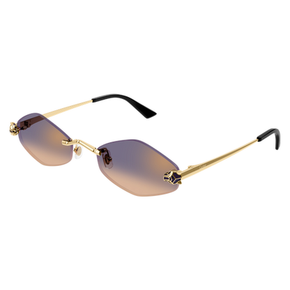 Lunettes de soleil CT0433S-005