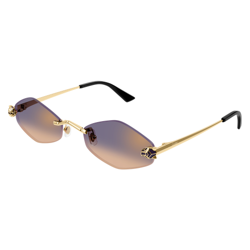 Lunettes de soleil CT0433S-005
