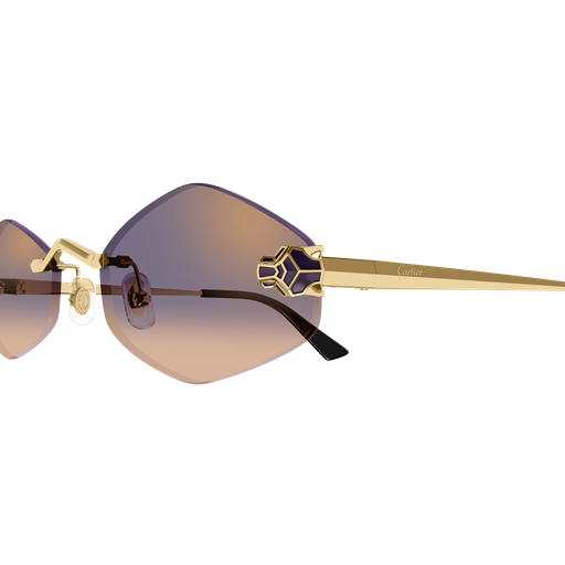 Lunettes de soleil CT0433S-005