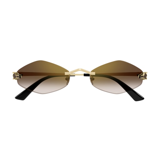 Lunettes Cartier CT0433S-002