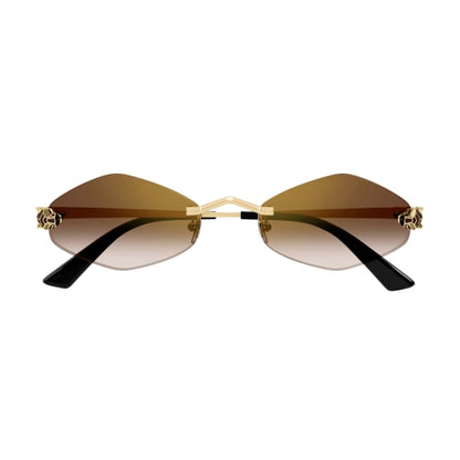 Lunettes Cartier CT0433S-002