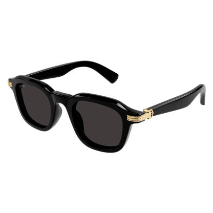 Lunettes de soleil  CT0536S-001