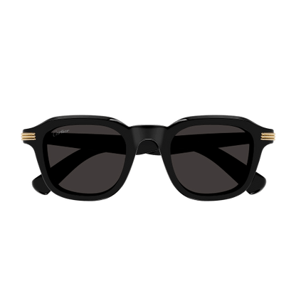 Lunettes de soleil  CT0536S-001