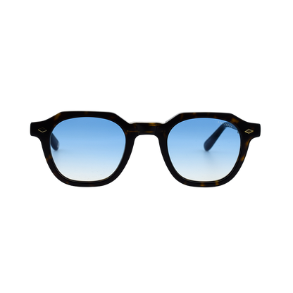 Lunettes de soleil Andy Brook Leo Fold C47A