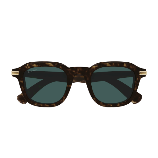 Lunettes de soleil CT0536S-002