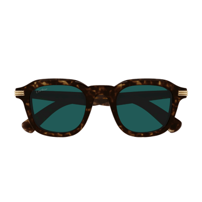 Lunettes de soleil CT0536S-002