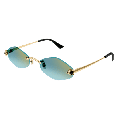 Lunettes Cartier CT0433S-003