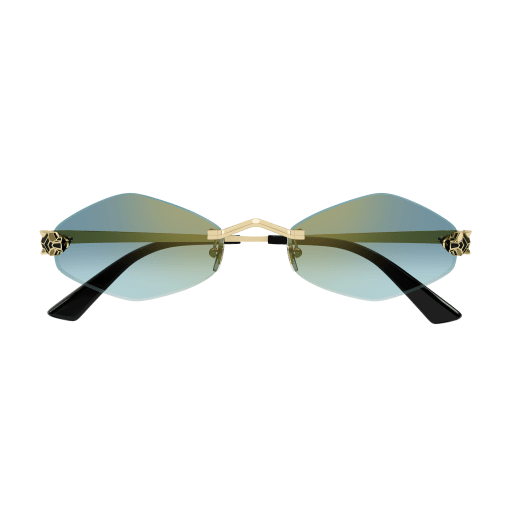 Lunettes Cartier CT0433S-003