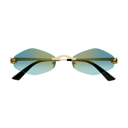 Lunettes Cartier CT0433S-003